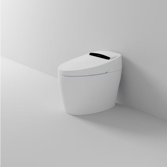 Toilettes intelligentes avec bidet intégré