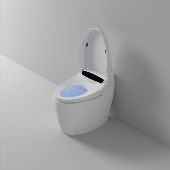 Toilettes intelligentes avec bidet intégré