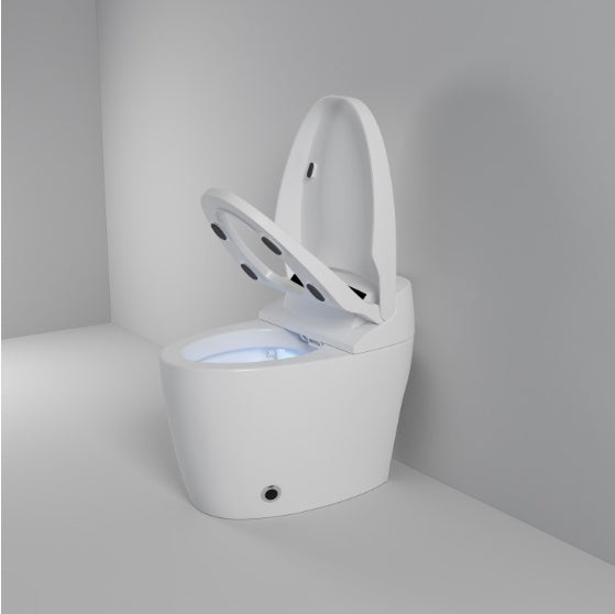 Toilettes intelligentes avec bidet intégré