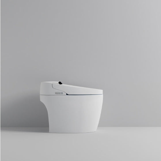 Toilettes intelligentes avec bidet intégré