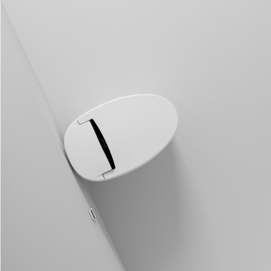 Toilettes intelligentes avec bidet intégré